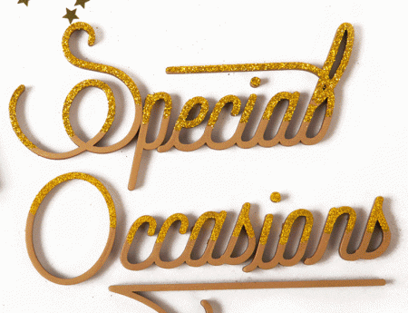 ¡Special Occasions es una colección pensada para brillar!