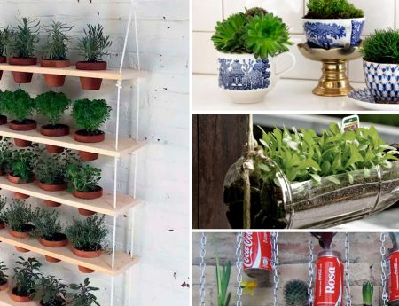 ¡Crea tu propio jardín vertical en casa!