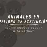 7 animales en peligro de extinción ¡Ayuda a salvarlos!