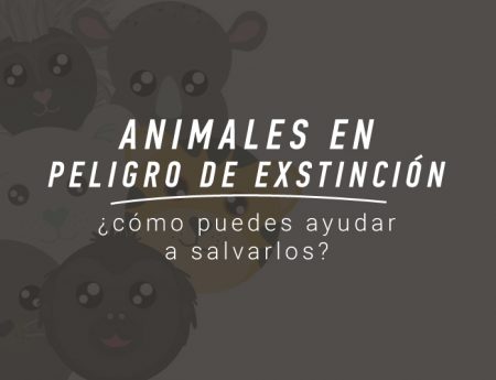 Animales en peligro de extinción ¡Ayuda a salvarlos!