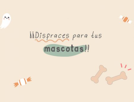 Disfraces caseros para mascotas: cinco ideas cool