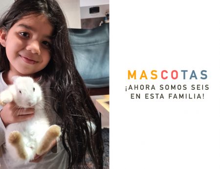 Mascotas ¡Ahora somos seis en esta familia!