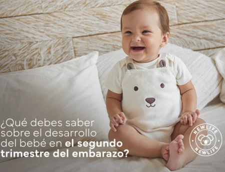 Segundo trimestre de embarazo: creciendo juntos
